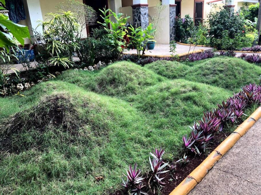 Alona Park Residence - 3 Bedroom Apartment- Alex And Jesa Unit Panglao Luaran gambar